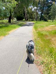 Happy pet cared for by Amy