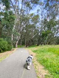 Happy pet cared for by Amy