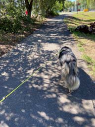 Happy pet cared for by Amy