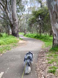 Happy pet cared for by Amy