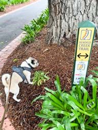 Happy pet cared for by Amy