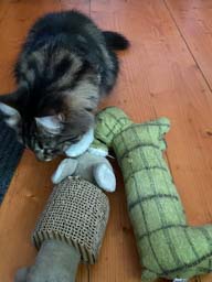 Happy pet cared for by Amy